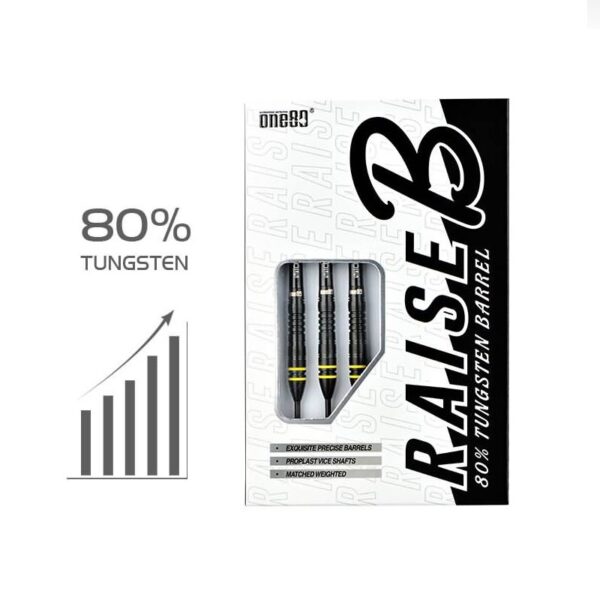 Raise B - YL Steeldarts